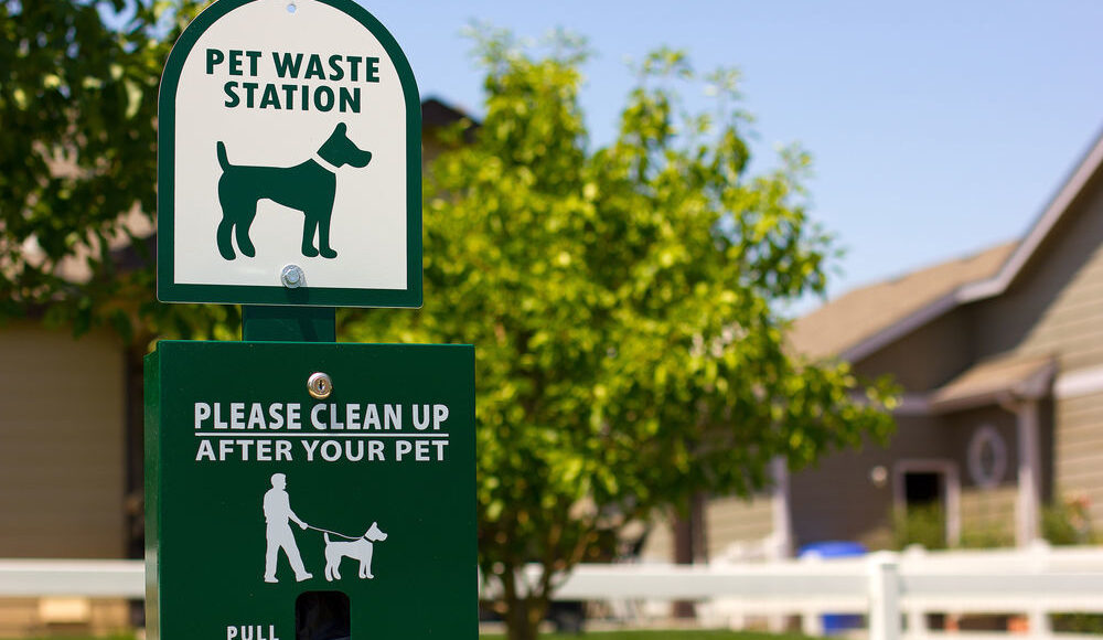 Proper Removal of Pet Waste